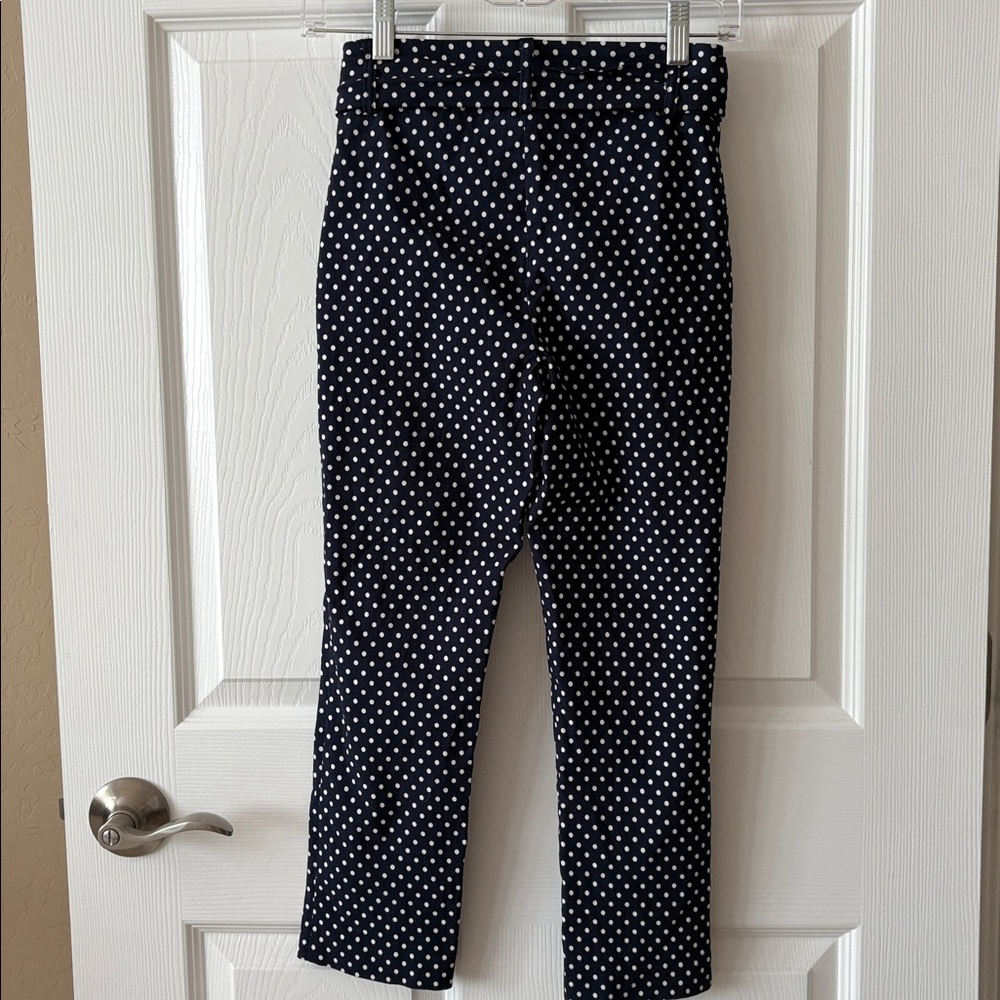 JULES & LEOPOLD Navy Polka Dot Pants - Picture 5 of 15